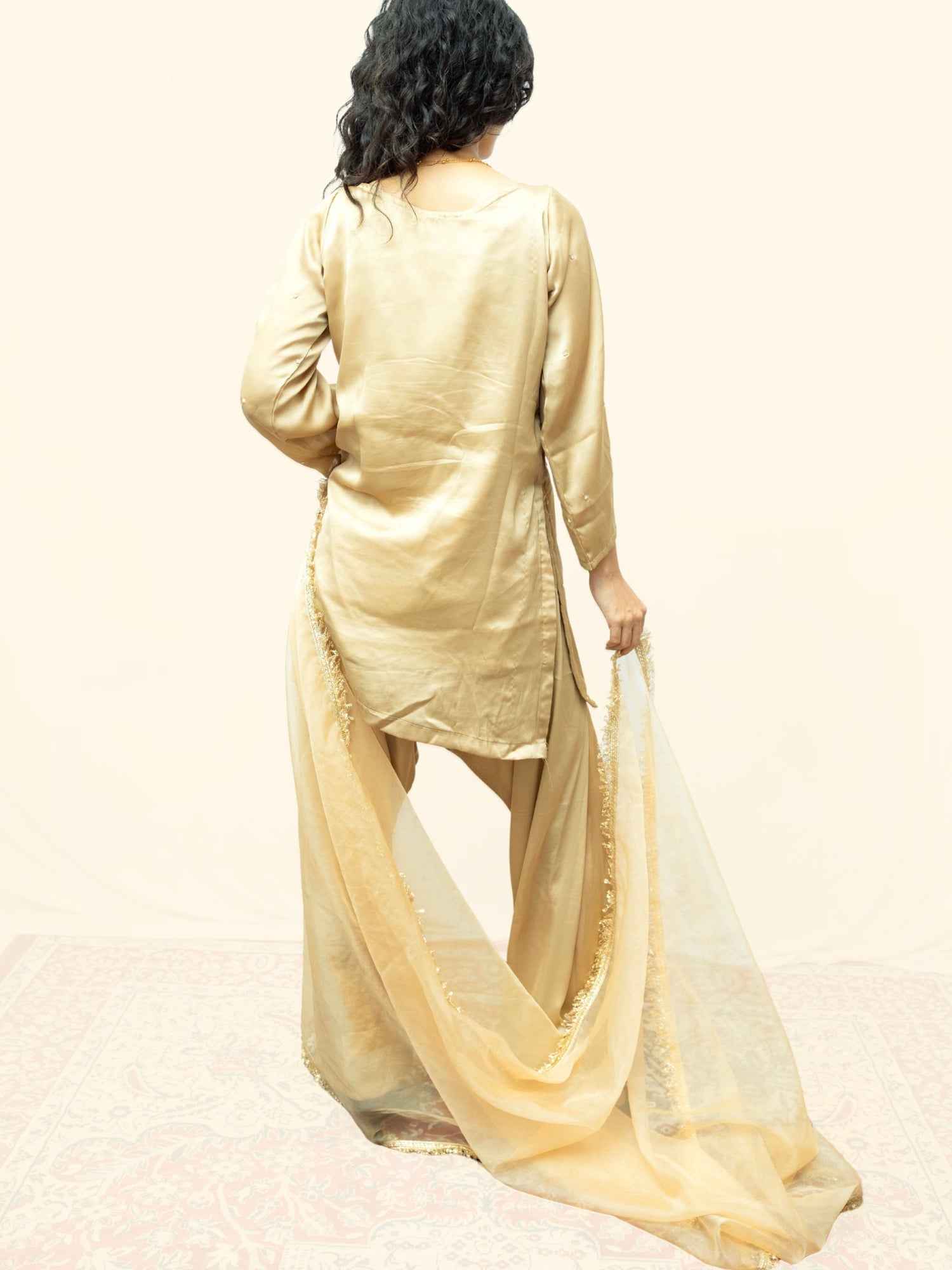 Beige Luxury Ethnic Suit Set with Handcrafted Zardozi Work for Women